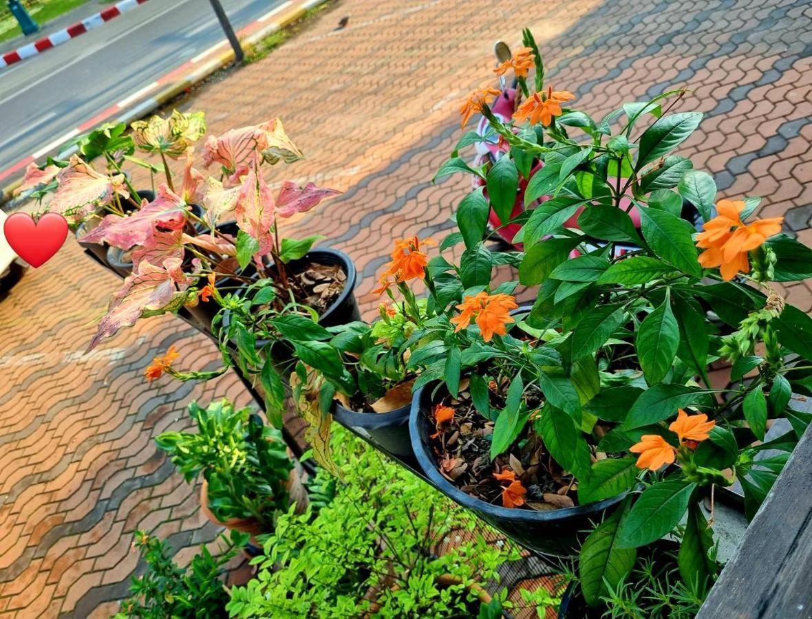 T2B Hostel شيانغ ماي المظهر الخارجي الصورة