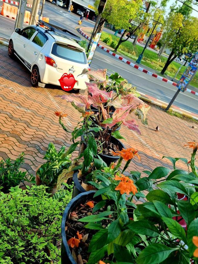 T2B Hostel شيانغ ماي المظهر الخارجي الصورة